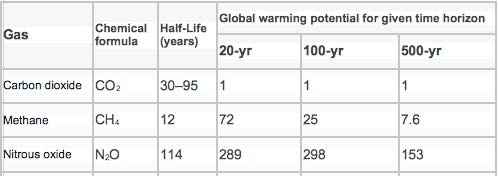 The Functions And Sizes Of The Five Carbon Sinks On Planet